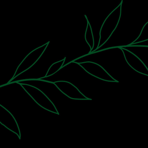 Leaves 2 Thumbnail